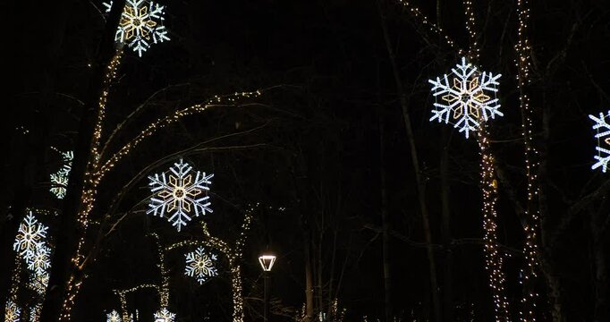 Holiday season, night city. Large snowflakes made of lamps glow on trees with beautifully illuminated trunks. Hand held. Siberia.