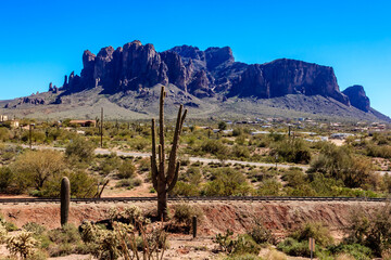 A desert landscape with a large mountain in the background