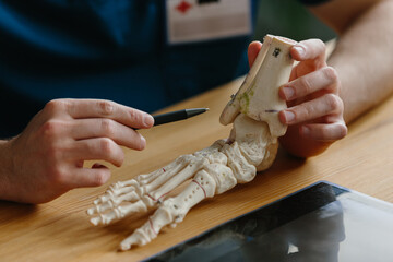 Close-up of a doctor explaining foot anatomy with a model.