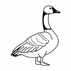 goose isolated