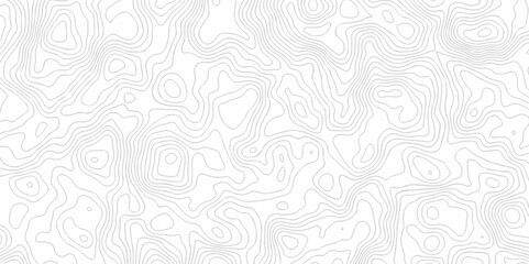 The dynamic digital topo map creative discovery White wave grid stripe line map topography. vector geographic contour mounted map background.	
