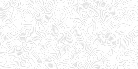 The dynamic digital topo map creative discovery White wave grid stripe line map topography. vector geographic contour mounted map background.	
