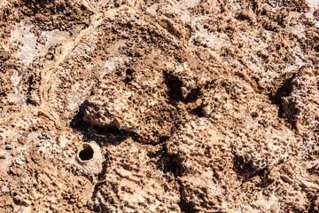 A rocky, sandy area with a hole in the ground