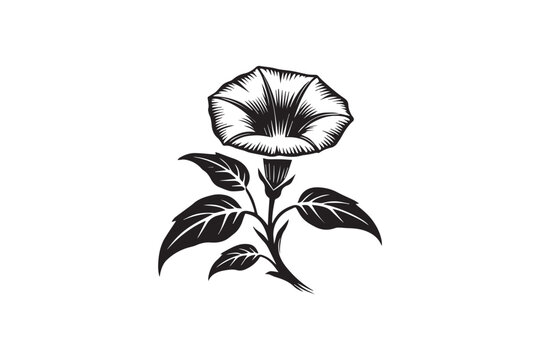 simple moonflower flower black color vector silhouette in white background