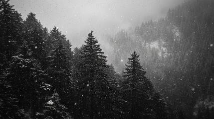 Snow falling on a mountain forest.