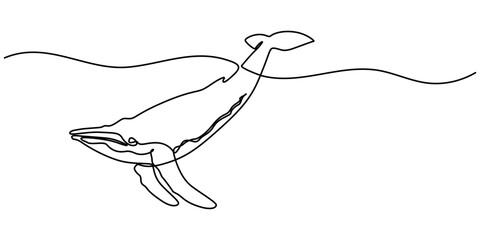Continuous one line drawing of orca whale. One line of wild whale killer. Under ocean concept continuous line art. Editable outline, World Maritime Day. whale, continuous single line art hand drawing 