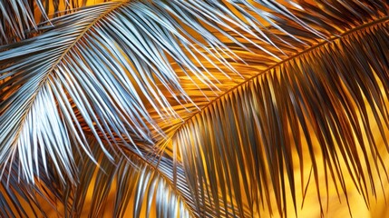 Silver palm leaves against a warm, golden sunset background.