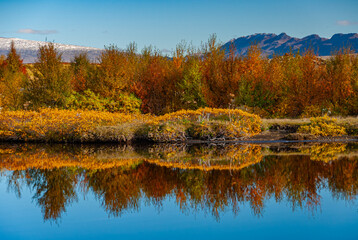 Þingvellir, thingvellir, national park in Iceland, at autumn