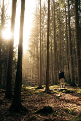 A man in a forest with sunlight shining through the trees