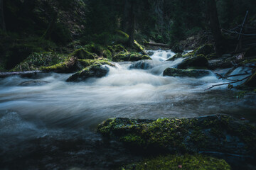 A serene river gracefully flowing through a lush green forest ecosystem