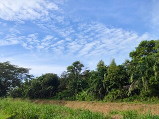 Lush Green Landscape Under Blue Sky