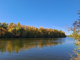 Fototapeta premium autumn trees reflected in water