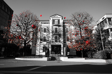 uptown fancy house among trees with Christmas decorations, black and white