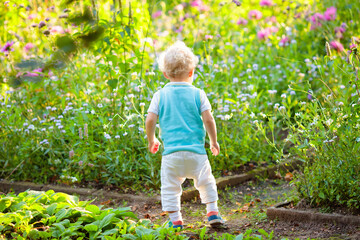 Little boy in flower garden