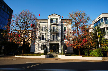uptown fancy house among trees with Christmas decorations