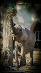 create me a LUT in a .cube file extension, based on the color grade from the attachment