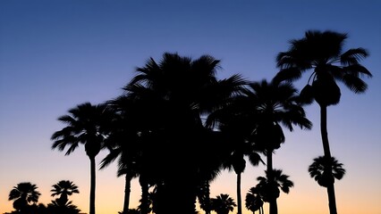 Silhouette of Palm Trees Against Gradient Twilight Sky at Dusk