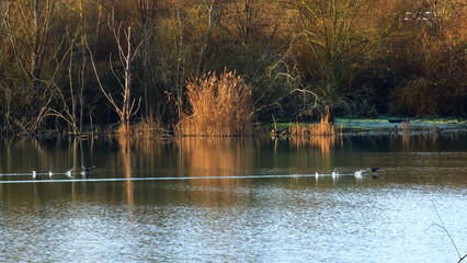 Cercanseaux sensitive natural area in the Loing valley