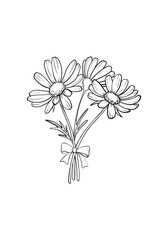 Isolated bouquet of daisies with bow on a white background. the outline drawing is drawn by hand.