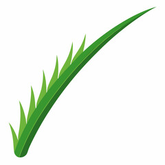 2D Grass Blade Vector Illustration