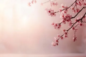 Fotobehang Delicate cherry blossom branches with soft pink background during springtime © c80