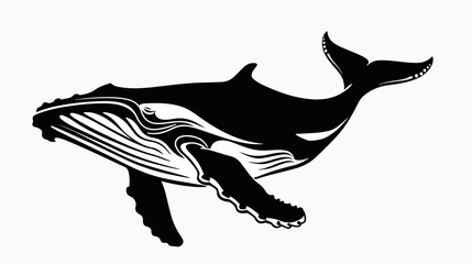 Obraz premium Humpback Whale Black and White Drawing Flat Vector Illustration