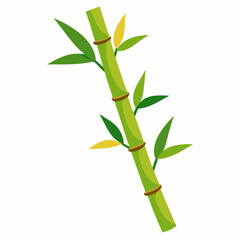 Bamboo Stalk 2D Vector Design