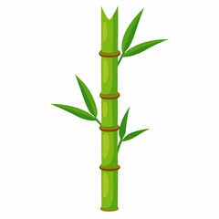 Naklejka premium Bamboo Stalk 2D Vector Design