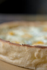 details of the pizza application; juicy pizza from the oven with mushrooms, tomatoes and bacon and sprinkled with parmesan cheese