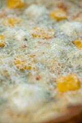 details of the pizza application; juicy pizza from the oven with mushrooms, tomatoes and bacon and sprinkled with parmesan cheese