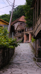 Take a leisurely stroll along a beautiful cobblestone path framed by rustic buildings in a peaceful village setting