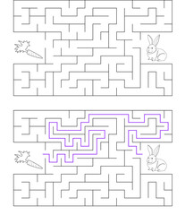 Help a white rabbit pass through rectangular maze to find a carrot. Feed the hungry bunny labyrinth. Easy difficulty level riddle for kids and their parents. Solution included