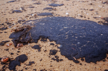 Fuel oil stains on the Black Sea coastline. Environmental disaster, environmental pollution. Oil...