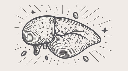 Hand Drawn Doodle Style Liver Line Icon Vector