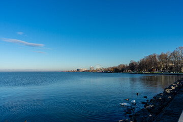 Blick auf den Balaton mit Enten, Schwänen und dem Riesenrad in Siófok, Ungarn