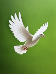 White Dove in Flight - Grace, peace, hope, freedom, spirit. A white dove soars against a vibrant green background.