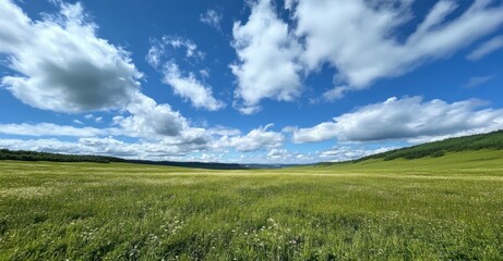 Expansive Green Meadow Under a Blue Sky with Fluffy Clouds