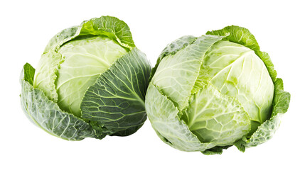 Fototapeta premium Two Fresh Green Cabbages Isolated White Background Produce