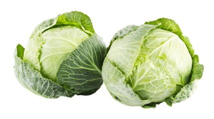 Two Fresh Green Cabbages Isolated White Background Produce