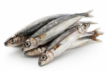 Fototapeta premium Fresh sardines on white background