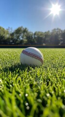 Baseball resting on green grass under bright sunlight at a field during afternoon hours