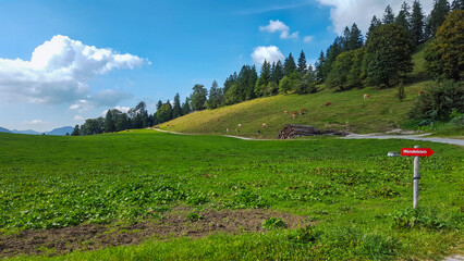 The way to the Wendelstein mountain in Bavaria. Mountains with forests, blue sky and sunshine.