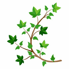 Ivy Vine 2D Vector Design