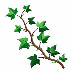 Ivy Vine 2D Vector Design