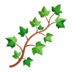 Ivy Vine 2D Vector Design