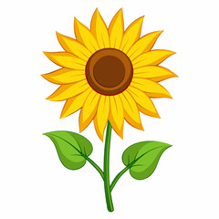 Sunflower 2D Vector Illustration Design