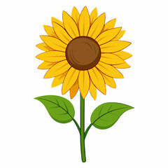 Sunflower 2D Vector Illustration Design