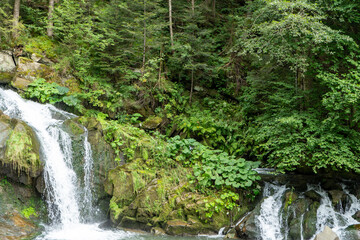 Obraz premium Mountain waterfall in the forest. Green nature. Lake water Summer river