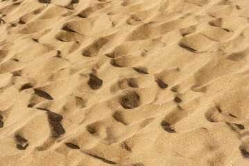 Desert landscape, sandy orange dunes, sunny wilderness