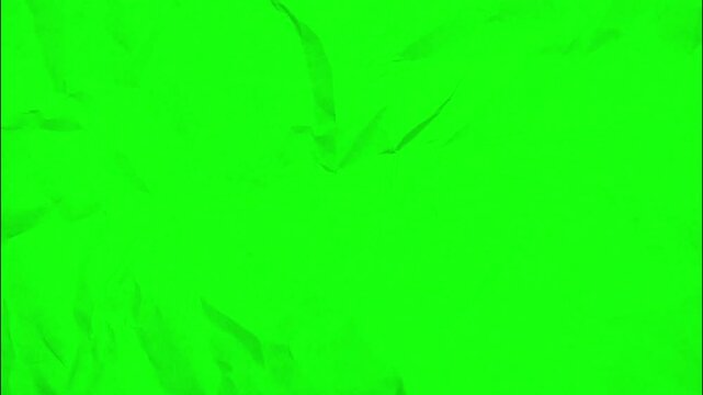 V&iacute;deo papel arrugado color verde. Concepto: Fondo, arte, textura.